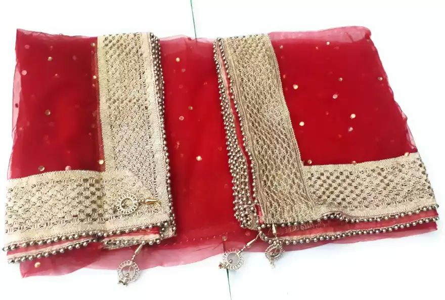 Net Embellished Women Dupatta With Golden Border (Colors Available)