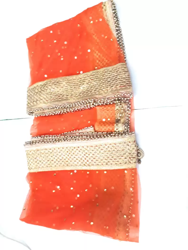 Net Embellished Women Dupatta With Golden Border (Colors Available)